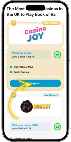 Visit a partner online casino Book of Ra